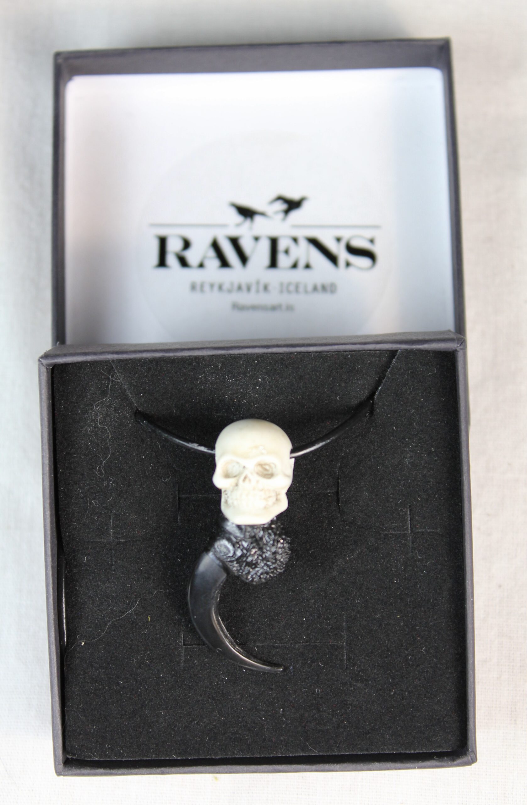 Raven claw necklace with resin skull - Image 3