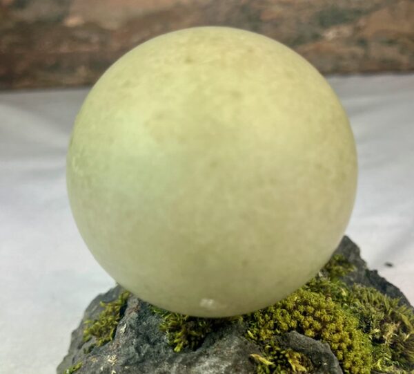 Eider duck egg # 2 - Image 4