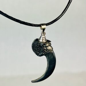 Raven claw necklace/ amulet