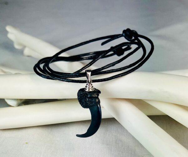 Raven claw necklace/ amulet - Image 3
