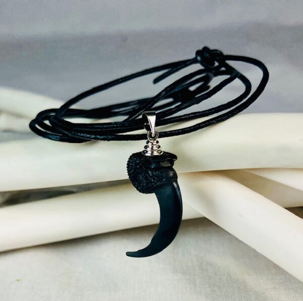 Raven claw necklace/ amulet - Image 4