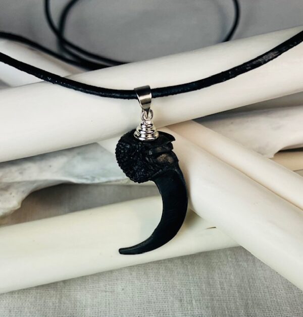 Raven claw necklace/ amulet - Image 5