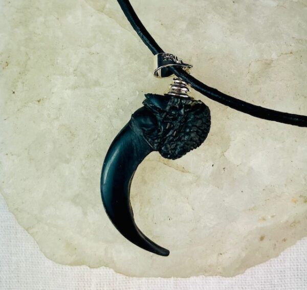 Raven claw necklace/ amulet - Image 7