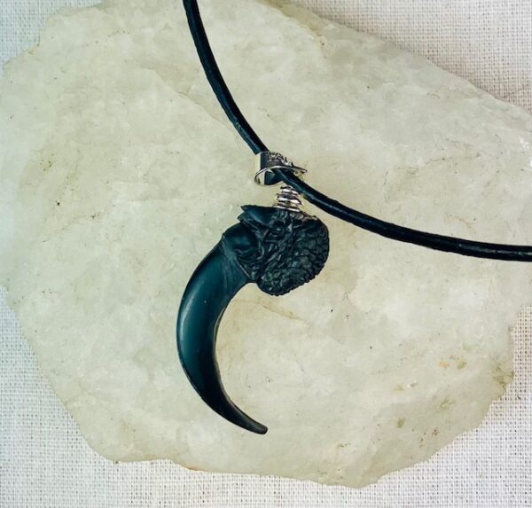 Raven claw necklace/ amulet - Image 8