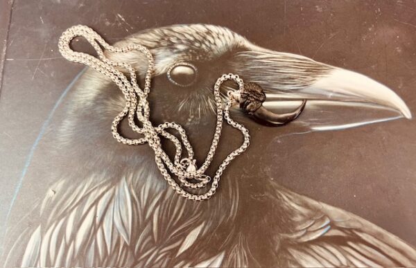 Raven claw necklace/ amulet - Image 5