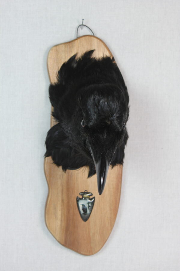 Raven head mount #2 - Image 10