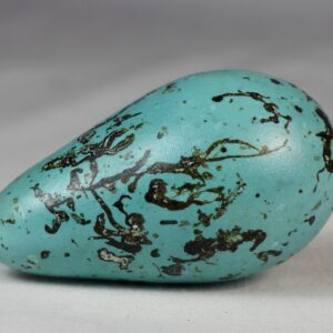 guillemot egg # 1