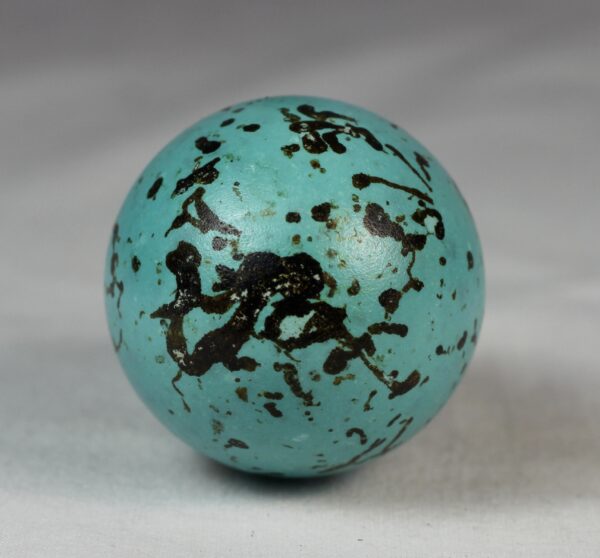 guillemot egg # 1 - Image 4