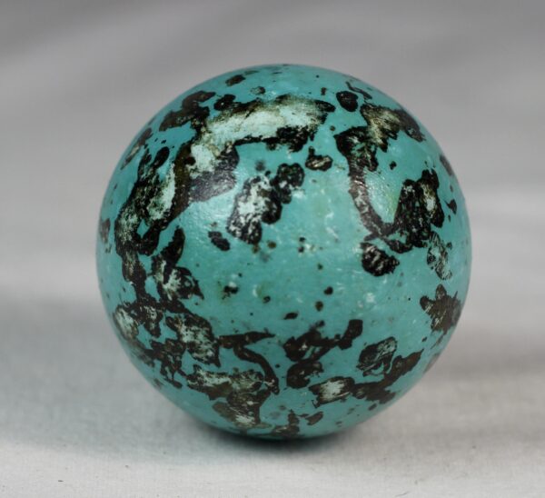 Brunnich´s guillemot egg # 2 - Image 4