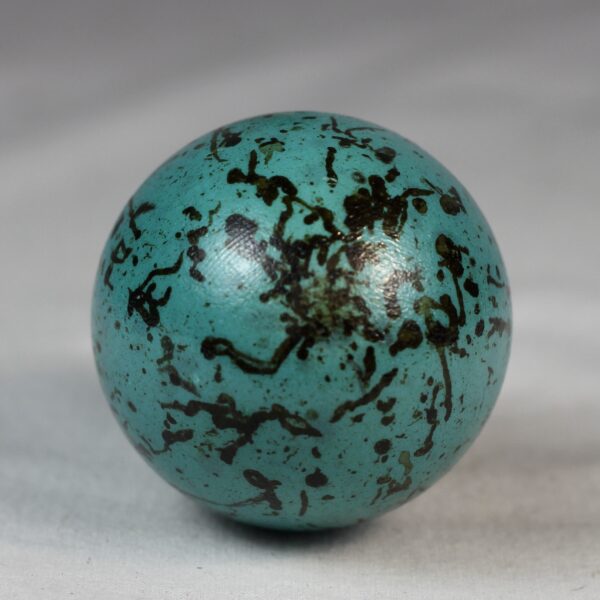 Guillemot egg # 5 - Image 4