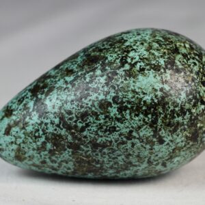 Bruinnich´s guillemot egg # 4