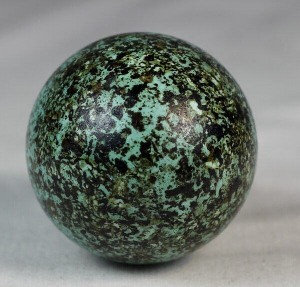 Bruinnich´s guillemot egg # 4 - Image 4