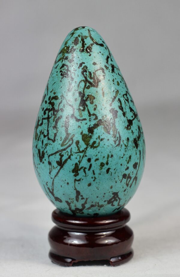 Guillemot egg # 5 - Image 5