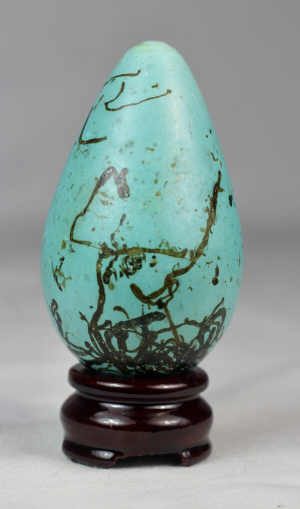 guillemot egg # 3 - Image 5