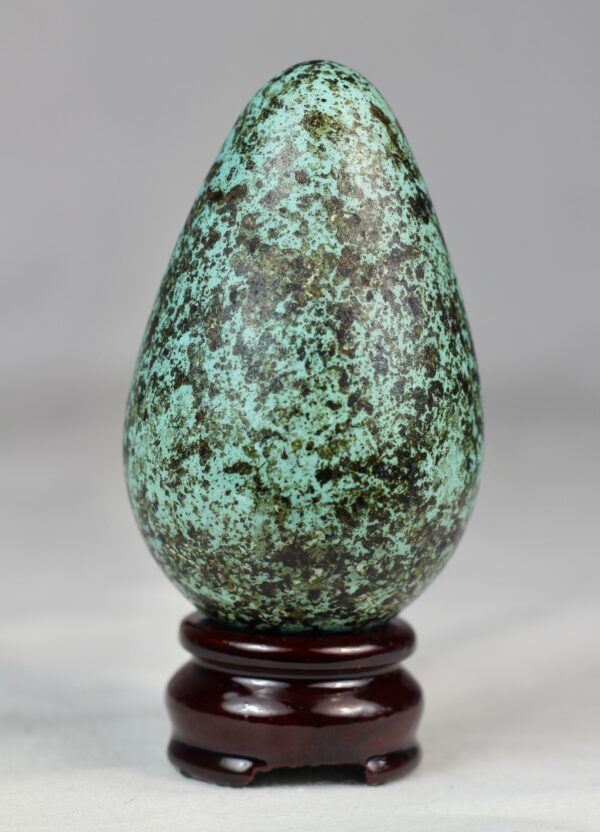 Bruinnich´s guillemot egg # 4 - Image 5