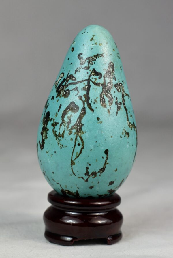 guillemot egg # 1 - Image 5