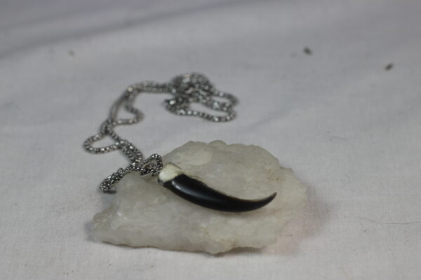 Seal claw amulet #1 - Image 4