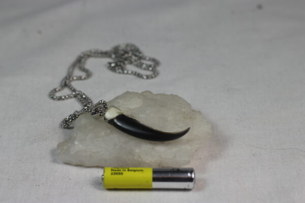 Seal claw amulet #1 - Image 5