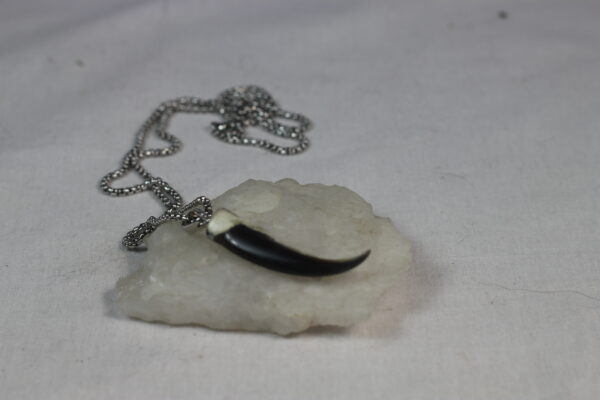 Seal claw amulet #1 - Image 6