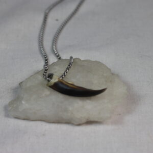 Seal claw amulet #2