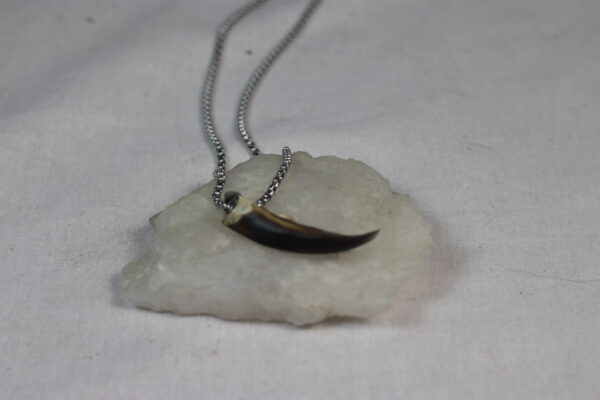 Seal claw amulet #2