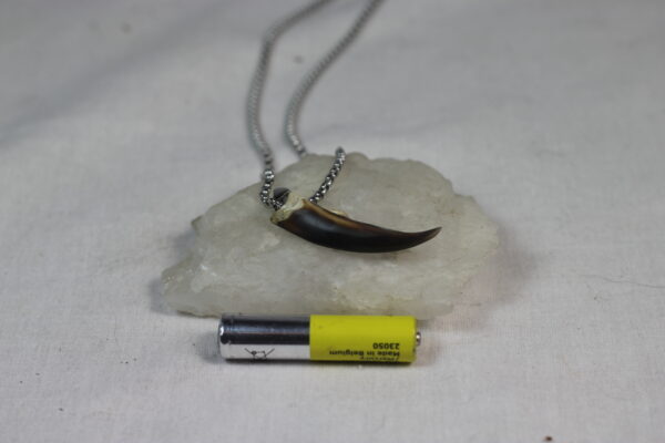 Seal claw amulet #2 - Image 3