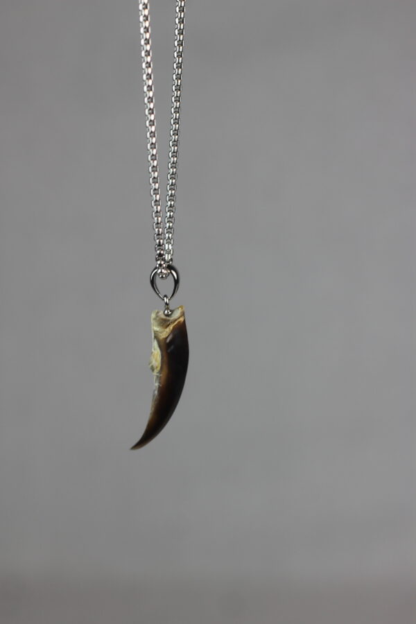 Seal claw amulet #2 - Image 4