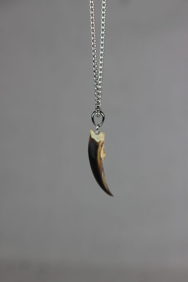 Seal claw amulet #2 - Image 5