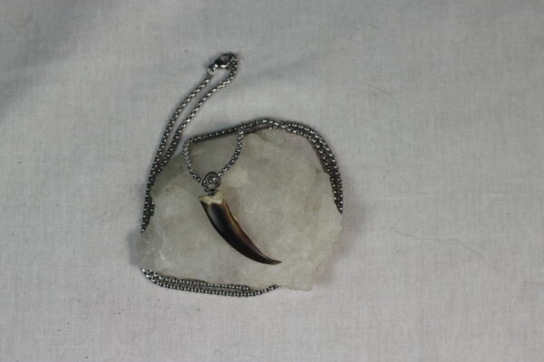 Seal claw amulet #2 - Image 6