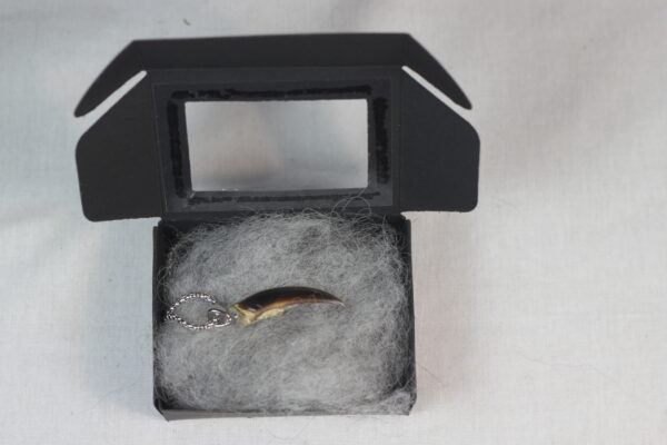 Seal claw amulet #2 - Image 7