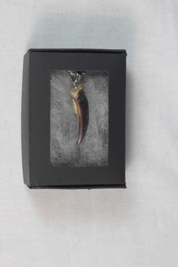 Seal claw amulet #2 - Image 8