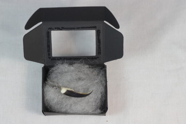 Seal claw amulet #1 - Image 7