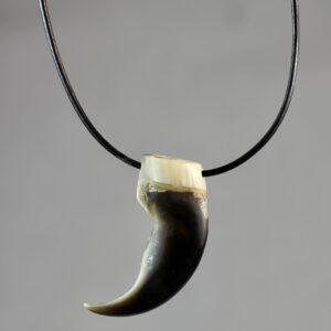 Polar bear claw necklace