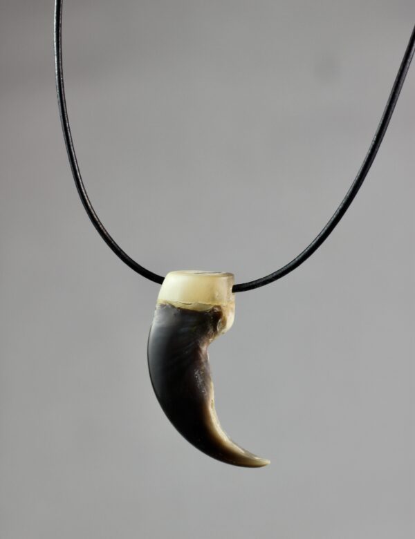 Polar bear claw necklace - Image 5