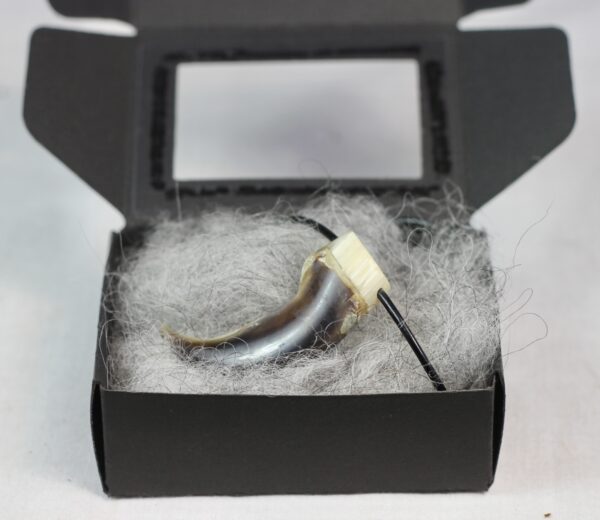 Polar bear claw necklace - Image 7