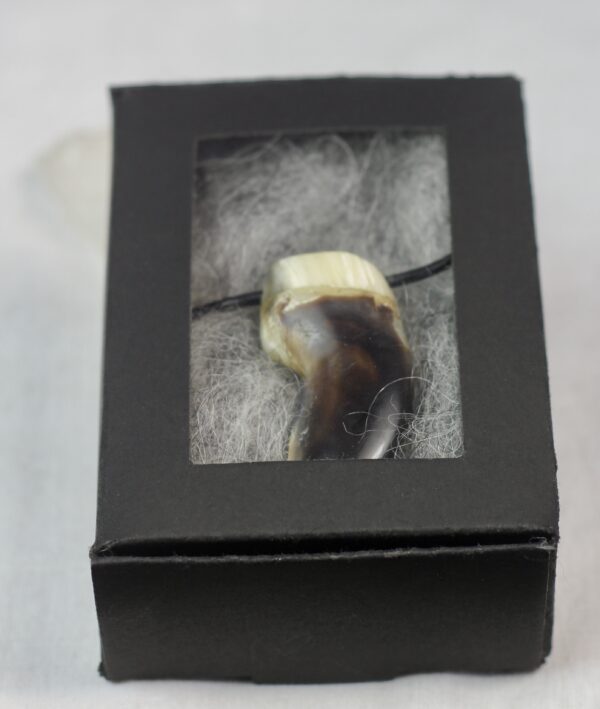 Polar bear claw necklace - Image 8