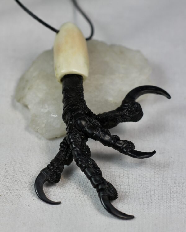 Real Raven Foot Necklace - Reindeer Antler & Leather cord - Image 5