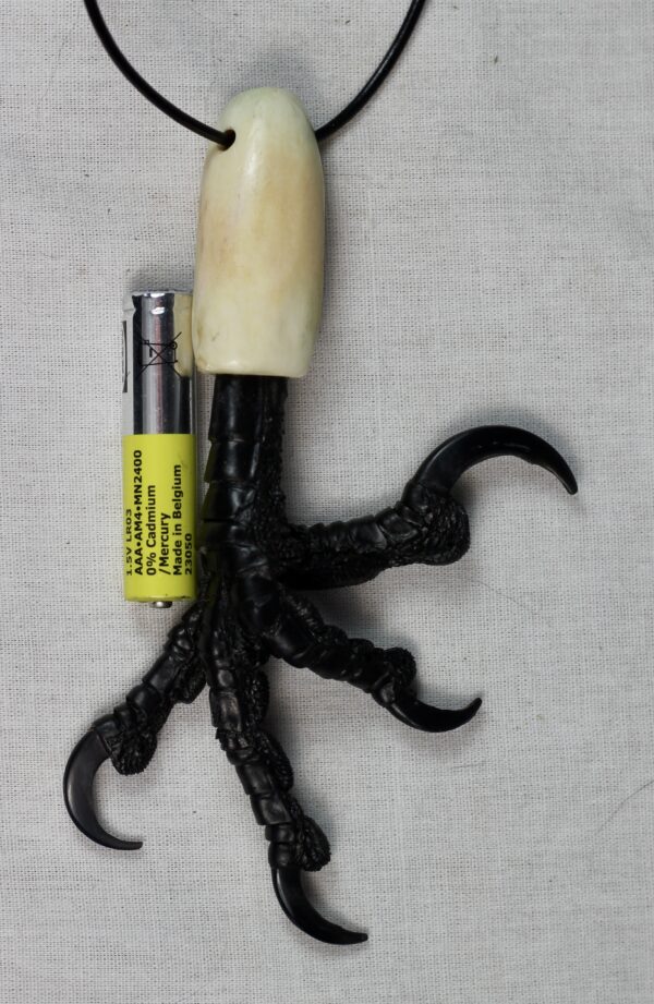 Real Raven Foot Necklace - Reindeer Antler & Leather cord - Image 8