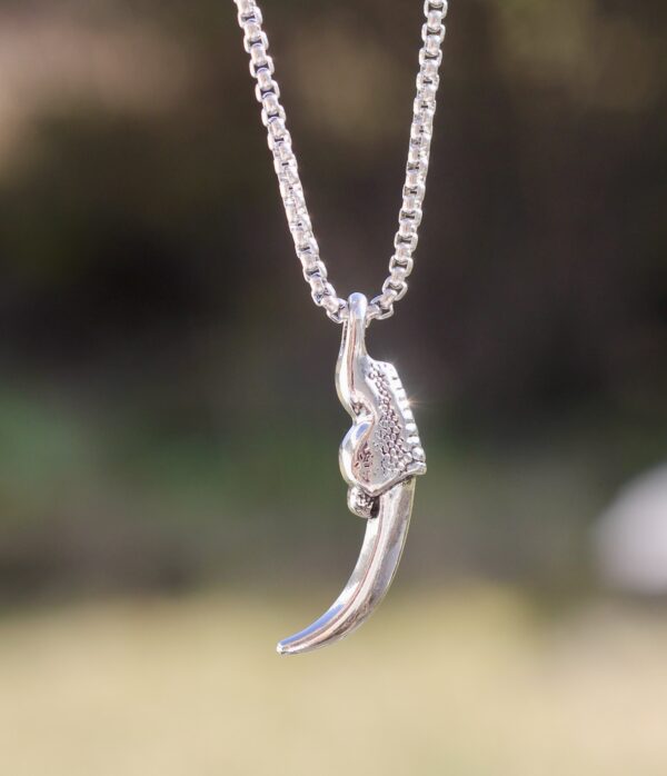 Silver coloured Raven claw necklace