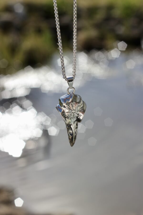 Silver coloured Raven skull necklace - Image 8