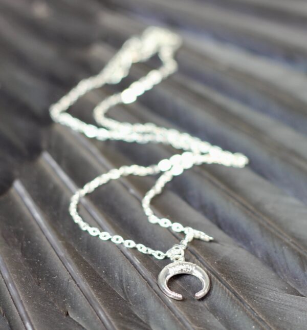 Lucky horn, silver coloured necklace