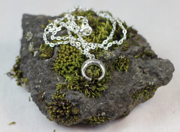 Lucky horn, silver coloured necklace - Image 5