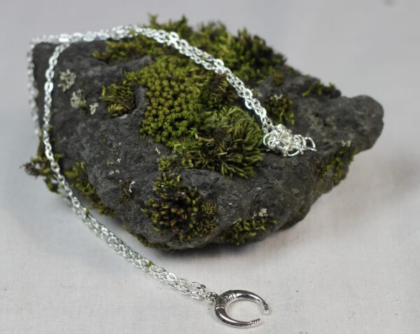 Lucky horn, silver coloured necklace - Image 8