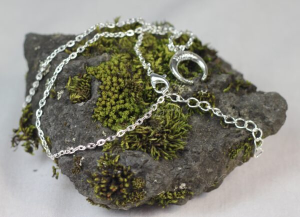 Lucky horn, silver coloured necklace - Image 9