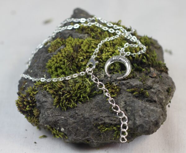 Lucky horn, silver coloured necklace - Image 10