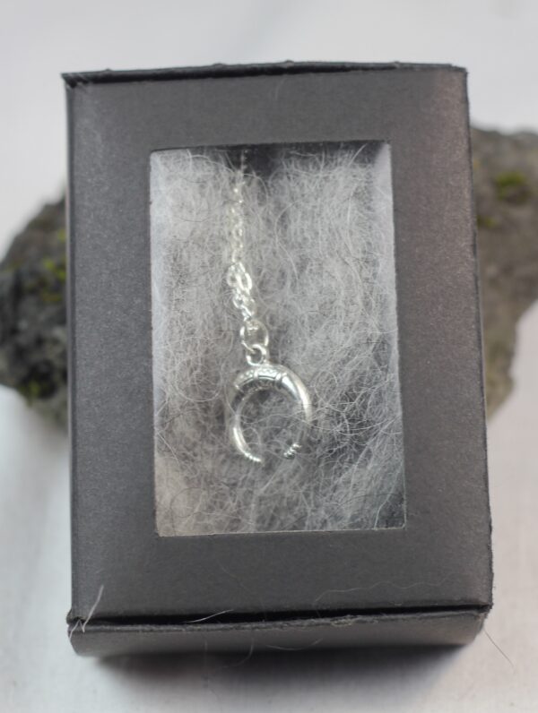 Lucky horn, silver coloured necklace - Image 12
