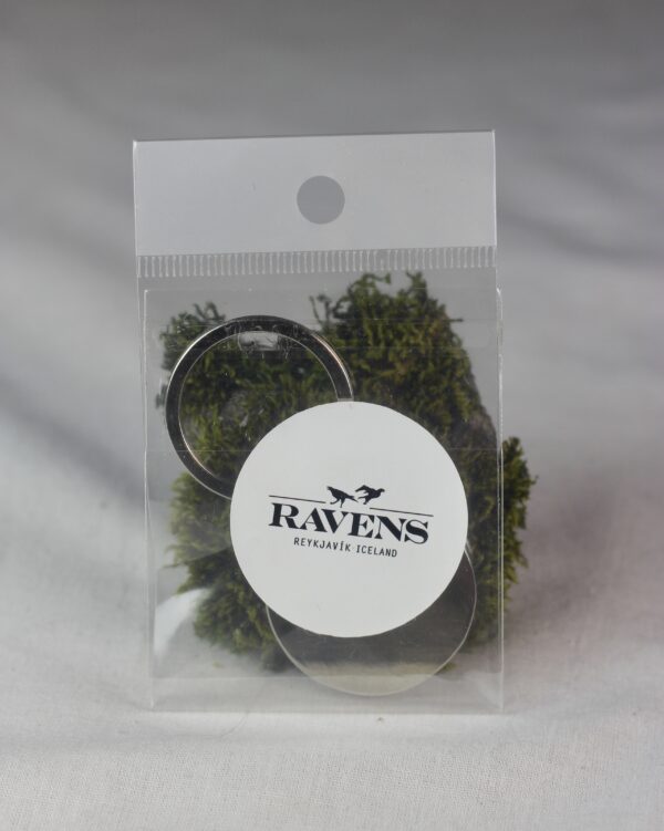 Souvenir key ring - Image 3