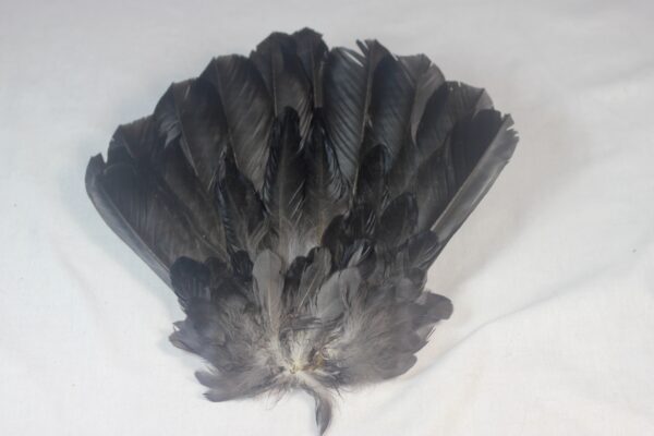 Raven tail feathers - Image 5