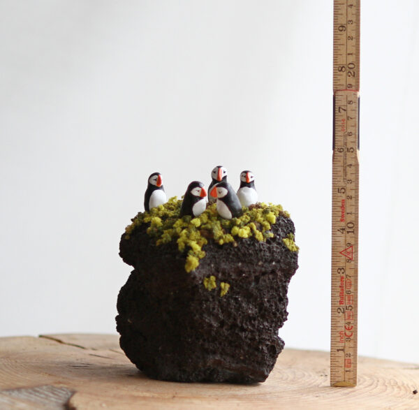Puffins - Image 11