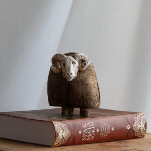 Hrútur - Icelandic ram